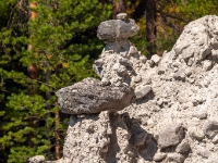 Kvitskriuprestene